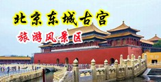 肉棒插入肉穴吐白浆中国北京-东城古宫旅游风景区